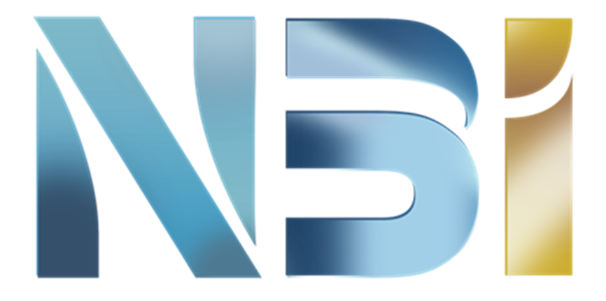 NBi Group logo
